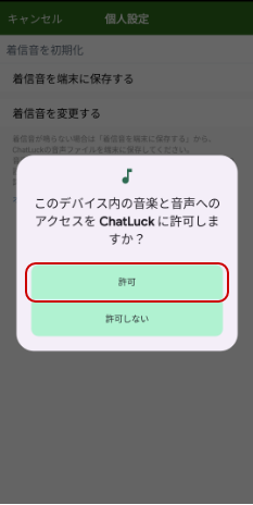 オーディオへのアクセス許可